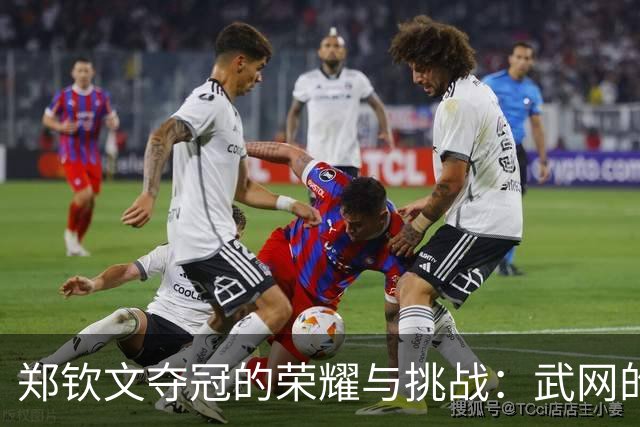 郑钦文夺冠的荣耀与挑战：武网的不易之路